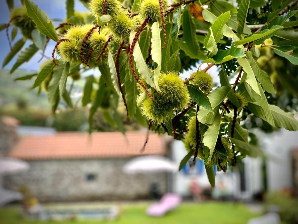 Casa Do Milhafre - Villaverde Azores Feteiras Экстерьер фото